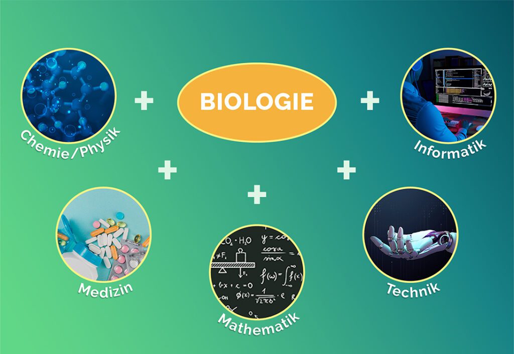 Biologie-Berufe haben immer öfter auch mit Chemie, Physik, Informatik, Technik oder Medizin zu tun