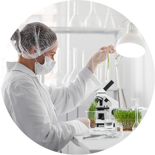 Frau in Laborkleidung untersucht eine Pflanze im Reagenzglas